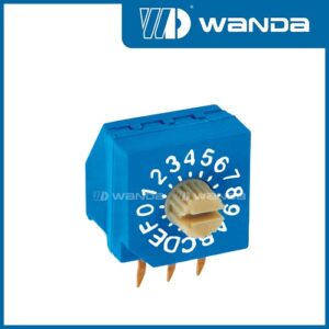 RR31603