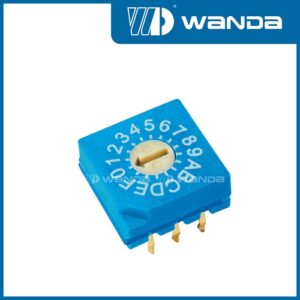 RS31600
